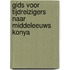 Gids voor tijdreizigers naar middeleeuws Konya