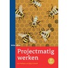 Projectmatig werken door Stijn Schenk