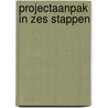 Projectaanpak in zes stappen door Roel Grit