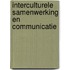 Interculturele samenwerking en communicatie