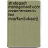 Strategisch management voor ondernemers in het MKB/familiebedrijf