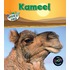 Kameel