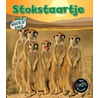 Stokstaartje by Anita Ganeri