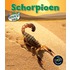 Schorpioen