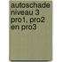 Autoschade niveau 3 PRO1, PRO2 en PRO3
