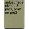 Autoschade niveau 3 PRO1, PRO2 en PRO3 door S.A.J. van Iersel