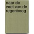 Naar de voet van de regenboog