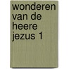 Wonderen van de Heere Jezus 1 door Ditteke den Haan