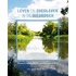 Leven en overleven in de Biesbosch