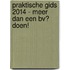 Praktische Gids 2014 - meer dan een BV? doen!