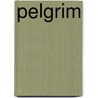 Pelgrim by Jan Hein Blom