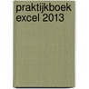 praktijkboek Excel 2013 by Anne Timmer