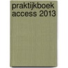 Praktijkboek Access 2013 door Anne Timmer