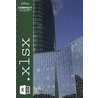 Excel 2013 door Dick Knetsch