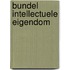 Bundel intellectuele eigendom