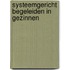 Systeemgericht begeleiden in gezinnen