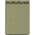Multicultureel