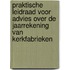 Praktische leidraad voor advies over de jaarrekening van kerkfabrieken