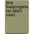 Drie kwajongens op zwart zaad