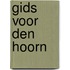 Gids voor Den Hoorn