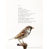 Plint Poezieposter 'Dectie' Hans Hagen door Hans