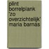 Plint Borrelplank 'Zo overzichtelijk' Maria Barnas