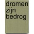 Dromen zijn bedrog