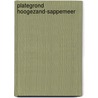 Plategrond Hoogezand-Sappemeer door Onbekend