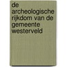 De archeologische rijkdom van de gemeente Westerveld door Sake Jager
