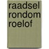Raadsel rondom Roelof