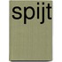 Spijt