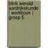 Blink Wereld: Aardrijkskunde | Werkboek | Groep 5