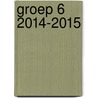 groep 6 2014-2015 door Onbekend