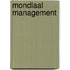Mondiaal management
