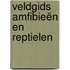 Veldgids Amfibieën en reptielen