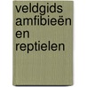 Veldgids Amfibieën en reptielen by Ton Stumpel