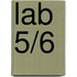 Lab 5/6