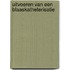 Uitvoeren van een blaaskatheterisatie