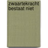 Zwaartekracht bestaat niet by Vincent Icke