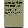 Amsterdam en Bolivia, leven en overleven door Paul van der Meer