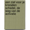 Een ziel voor je kristallen schedel, de weg van de activatie by A. Argyl