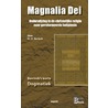 Magnalia Dei door H. Bavinck