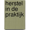 Herstel in de praktijk door Luc Van Huffel