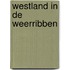 Westland in de Weerribben