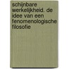 Schijnbare werkelijkheid. De idee van een fenomenologische filosofie door Rudolf Boehm