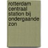 Rotterdam centraal station bij ondergaande zon