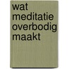 Wat meditatie overbodig maakt door Gerd Ferret