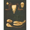 Bones schedels by Rob Colson