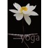 Transformatieve yoga