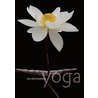 Transformatieve yoga door Willemke Stilma
